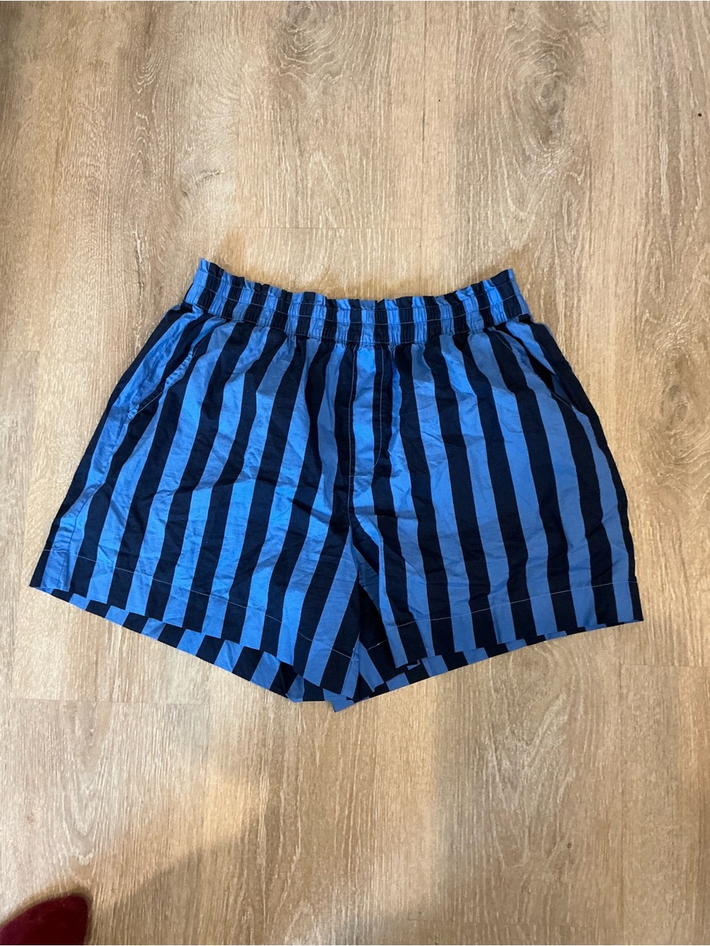 aerie Blue and Black Striped Women's Shorts